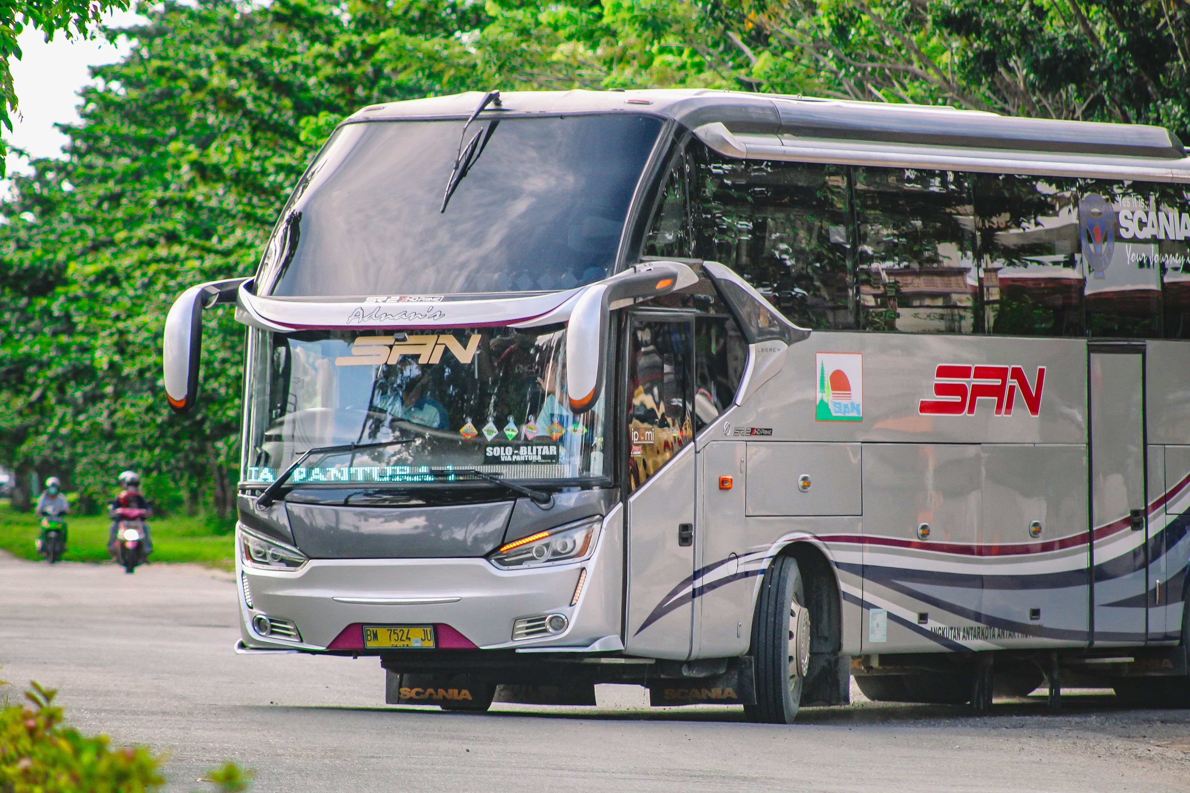 ZedBus Pink City Seater